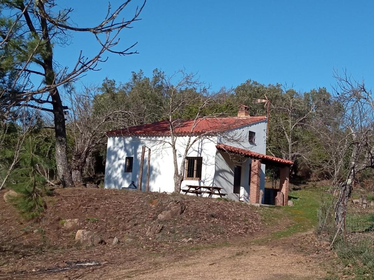 Viviendas Rurales Del Robledo Castano de Robledo Esterno foto